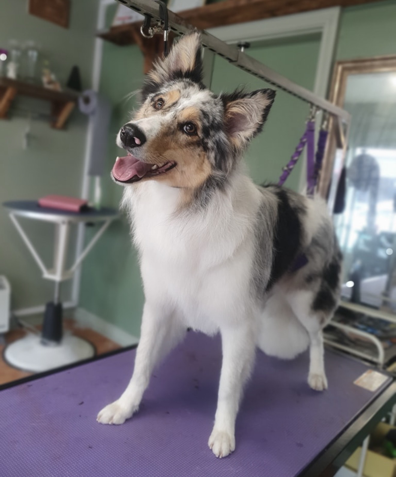 Bath and de-shed service