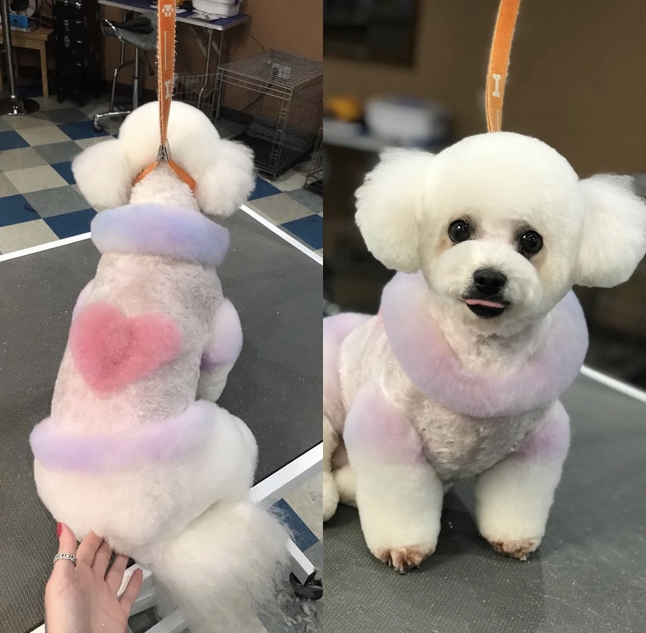 Creative grooming example featuring soft pastel styling and heart detail.