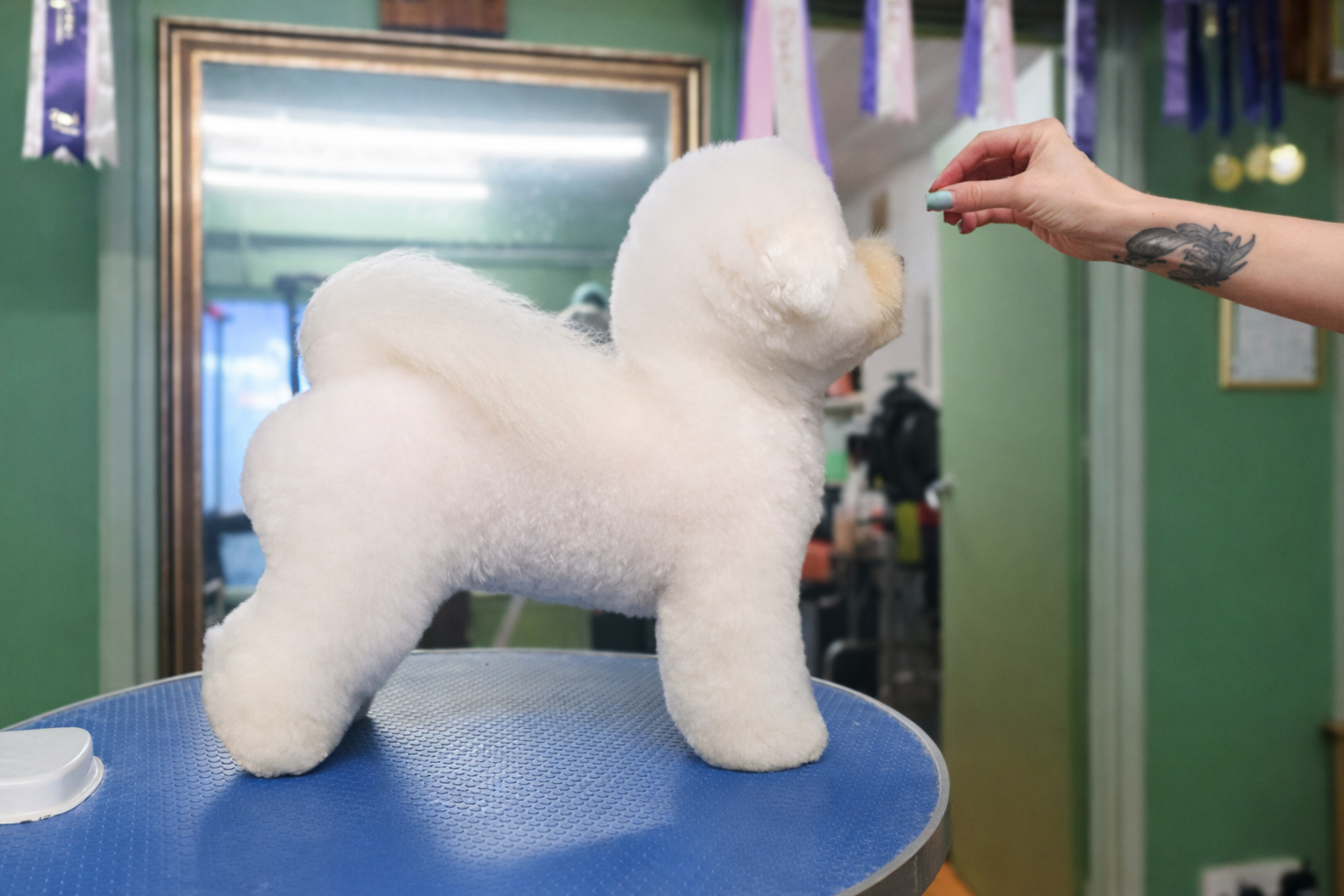Nail clipping service