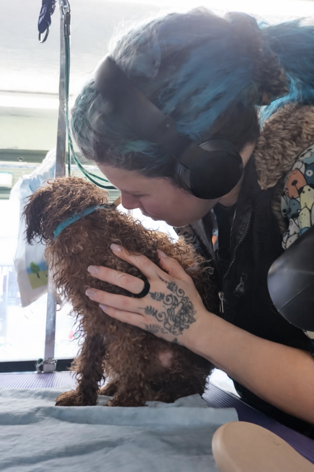 Puppy pampers service